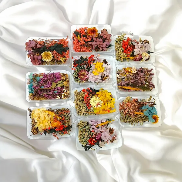 Assorted_Natural_Real_Dried_Flowers_Hair_Accessories_in_Elegant_Plastic_Box_Vibrant_Colors_&_Unique_Styles"