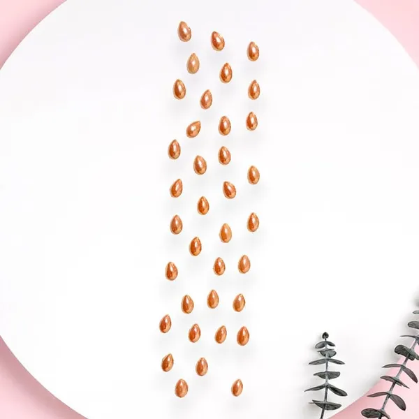Golden_Copper_Tilak_Hair_Stickers_(36_Shiny_Pieces)_(16_X_14_X_10_Cm)