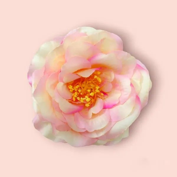 Baby_Pink_Artificial_Rose_Hair_Pin_Accessories_For_Women_&_Girls_(14_X_8_X_1_Cm)