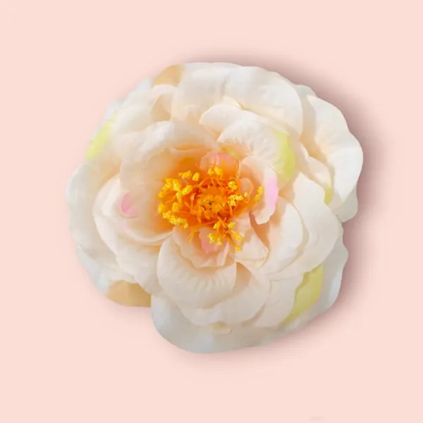Cream_Artificial_Rose_Hair_Pin_Accessories_For_Women_&_Girls_(14_X_8_X_1_Cm)