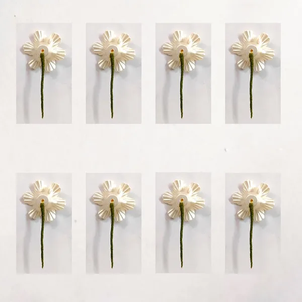 White_&_Gold_Artificial_Flower_And_Pearls_Hair_Pin_Accessories_For_Women_&_Girls_(Set_Of_8)_(14_X_8_X_1_Cm)