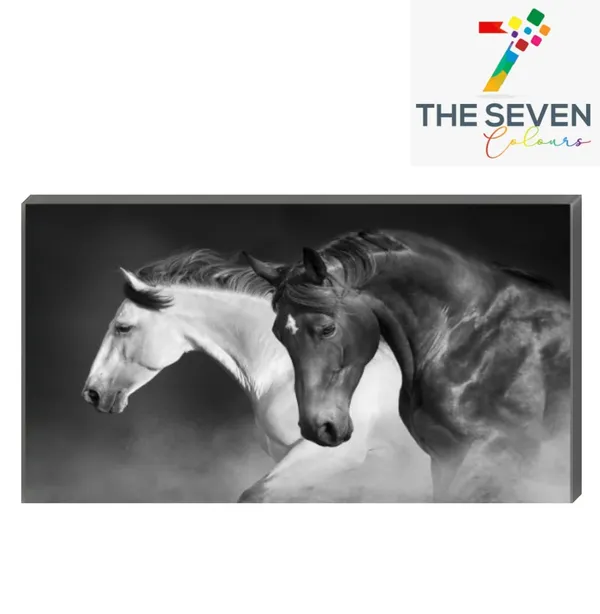 Multicolour_Black_And_White_Running_Vastu_Horses_Paintingfor_Living_Room_Wall_Decoration_With_Frame_Big_Large_Size_Canvas_Painting_|_Home_Decor|_Bedroom_(48X24_Inches)