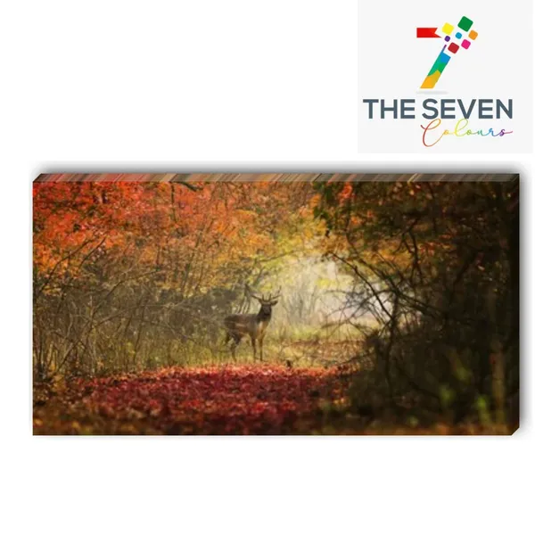 Multicolour_Beautiful_Canvas_Painting_The_Curious_Deer_Frame_For_Living_Room_|_Bedroom_|_Office_Walls_|_Big_Size_Large_Paintings_(With_Frame)_(60_By_30_Inches)