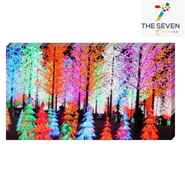 Multicolour_Beautiful_Festive_Colorful_Trees_Of_Autumn_Forest_Landscape_Paintings_Canvas_Modern_Wall_Art_Decor_Big_Large_Size_Painting_Frame_For_Living_Room_(With_Frame)_(48_By_24_Inches)