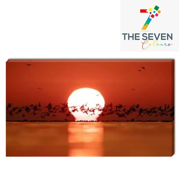 Multicolour_Beautiful_Canvas_Paintings_Silhouette_Of_Black_Headed_Gulls_And_Sunrise_For_Living_Room_|_Bedroom_|_Big_Size_Painting_(With_Frame)_(48_By_24_Inches)