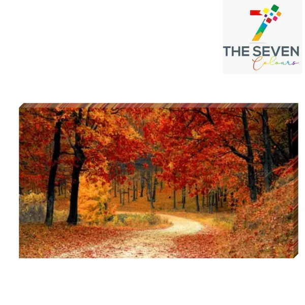 Multicolour_Beautiful_Canvas_Landscape_Painting_Autumn_Forest_Abstract_Modern_Wall_Art_Decor_Big_Large_Size_Paintings_For_Living_Room_(48_By_24_Inches_|_120_By_60_Cm)_(With_Frame)