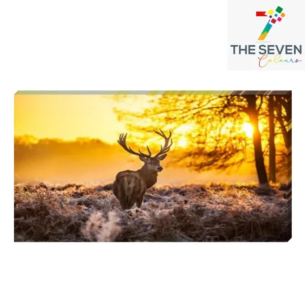 Multicolour_Beautiful_Deer_In_Forest_Sunrise_Landscape_Painting_Canvas_Modern_Wall_Art_Decor_Big_Large_Size_Paintings_For_Living_Room_(With_Frame)_(60_By_30_Inches_|_150_By_75_Cm)