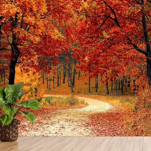 Multicolour_Beautiful_Self_Adhesive_Wallpapers_Autumn_Forest_Vinyl_For_Wall_Decors_|_Floors_|_Flooring_Roll_|_Home_Decoration_|_Bedroom_|_Office_Walls_(120X144_Inches)