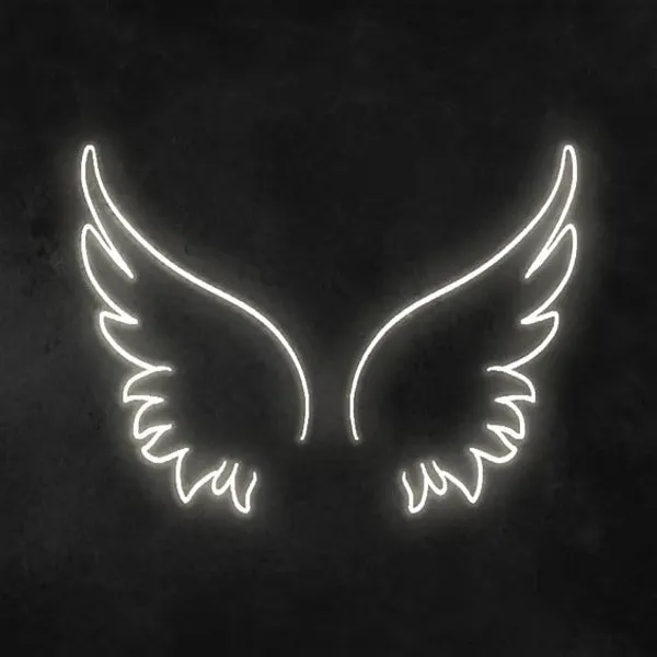Multicolour_Wings_Neon_Light_Decor_|_Led_Light_Wings_Feather_Neon_Decorative_|_Rgb_Neon_Light_Wings_For_Selfie_Booth_(24_By_24_Inches)