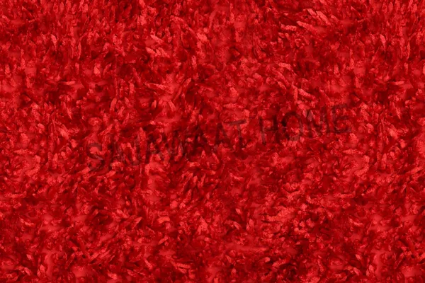 Red_Latest_Design_Designer_Carpet,_Doormats,_Floormats,_Homedecor,_Mats,_Rugs,_Runner_(2x5_Feet)