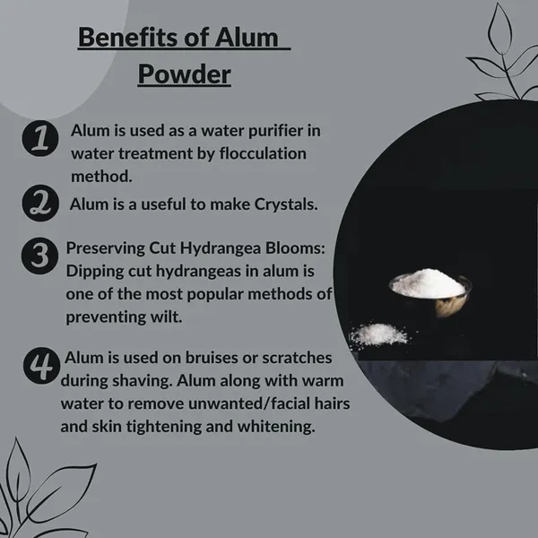 Lazybeee_Pure_Alum_Powder_|_Natural_Phitkari_for_Face,_Skin_Tightening,_Mouth_Ulcers,_Water_Purification,_Deodorant_&_Foot_Odor_Control_|_Multipurpose_Fitkari_Powder