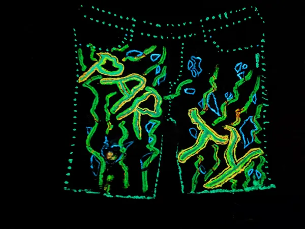 One-Of-Kind_|_INSANE_Hand_Art_|__PARTY_Wear_DENIM_Shorts_|_UV_&_Glow_In_Dark__Reactive