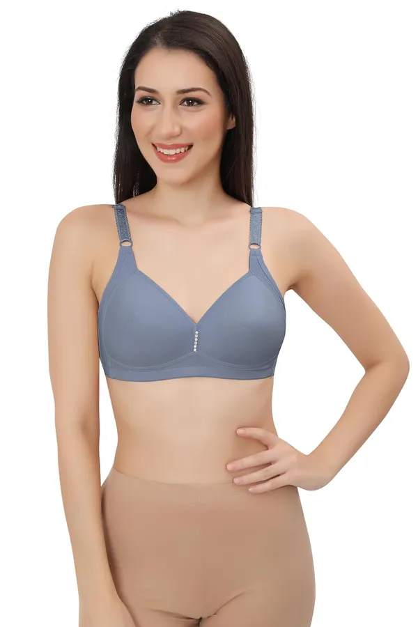 Blue_Comfortfit_Seamless_Bra_-_Everyday_Support,_Non-Wired_With_Adjustable_Straps_For_Women