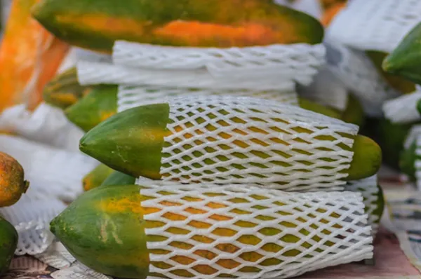 VG_Tarp_Fruit_Foam_Net_50mm_x_10mtr_roll_–_Protective_Fruit_Wrapping_Netting_for_Safe_Transport_&_Storage