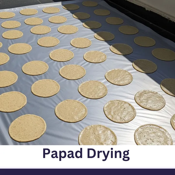 VG_Tarp_Polythene_Sheet_Cover_for_Drying_–_Food_Grade,_Heat_Resistant,_Washable_&_Reusable_Plastic_Sheet_for_Sun_Drying_Papad,_Grains,_Spices,_Vegetables_–_Size:_2m_x_2.5m_(1_Piece)