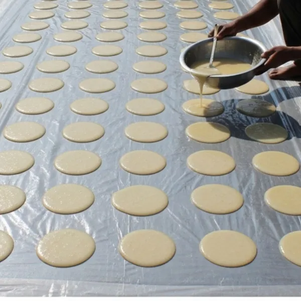 VG_Tarp_Polythene_Sheet_Cover_for_Drying_–_Food_Grade,_Heat_Resistant,_Washable_&_Reusable_Plastic_Sheet_for_Sun_Drying_Papad,_Grains,_Spices,_Vegetables_–_Size:_2m_x_2.5m_(1_Piece)
