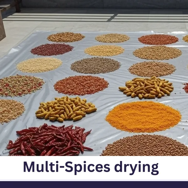 VG_Tarp_Polythene_Sheet_Cover_for_Drying_–_Food_Grade,_Heat_Resistant,_Washable_&_Reusable_Plastic_Sheet_for_Sun_Drying_Papad,_Grains,_Spices,_Vegetables_–_Size:_2m_x_2.5m_(1_Piece)