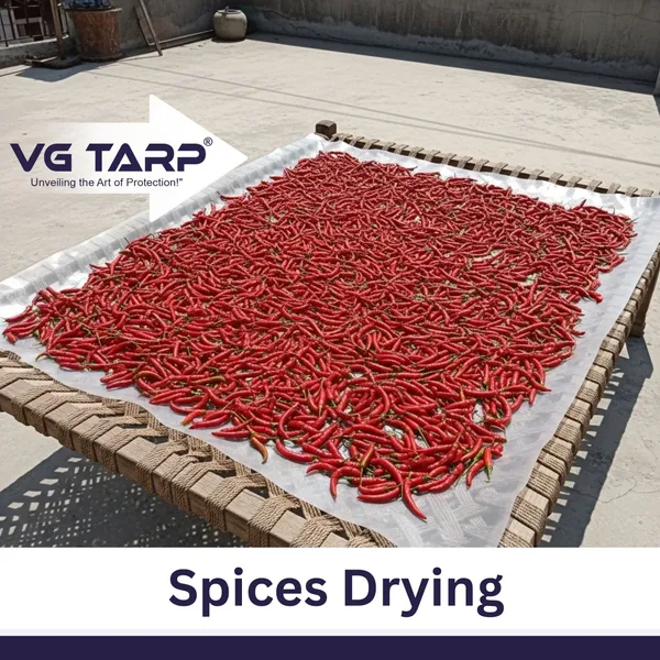 VG_Tarp_Polythene_Sheet_Cover_for_Drying_–_Food_Grade,_Heat_Resistant,_Washable_&_Reusable_Plastic_Sheet_for_Sun_Drying_Papad,_Grains,_Spices,_Vegetables_–_Size:_2m_x_2.5m_(1_Piece)
