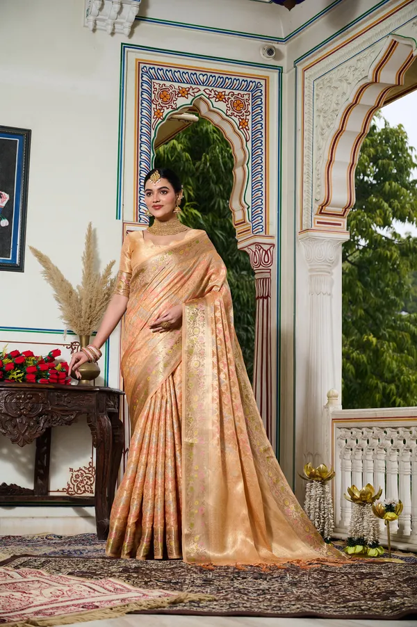 Orange_Banarasi_Organza_Saree_With_Tassels_Blouse_For_Women