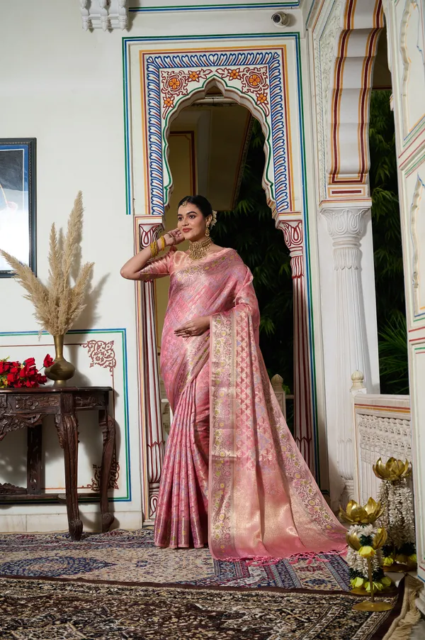 Pink_Banarasi_Organza_Saree_With_Tassels_Blouse_For_Women