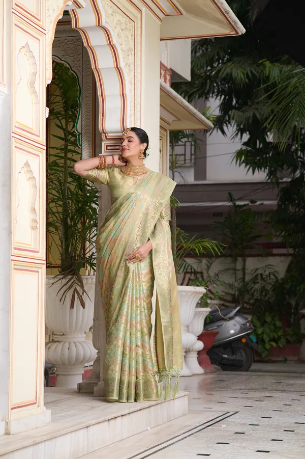 Mint_Green_Banarasi_Organza_Saree_With_Tassels_Blouse_For_Women