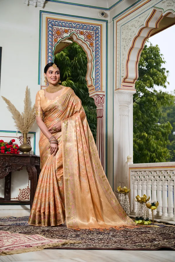 Orange_Banarasi_Organza_Saree_With_Tassels_Blouse_For_Women