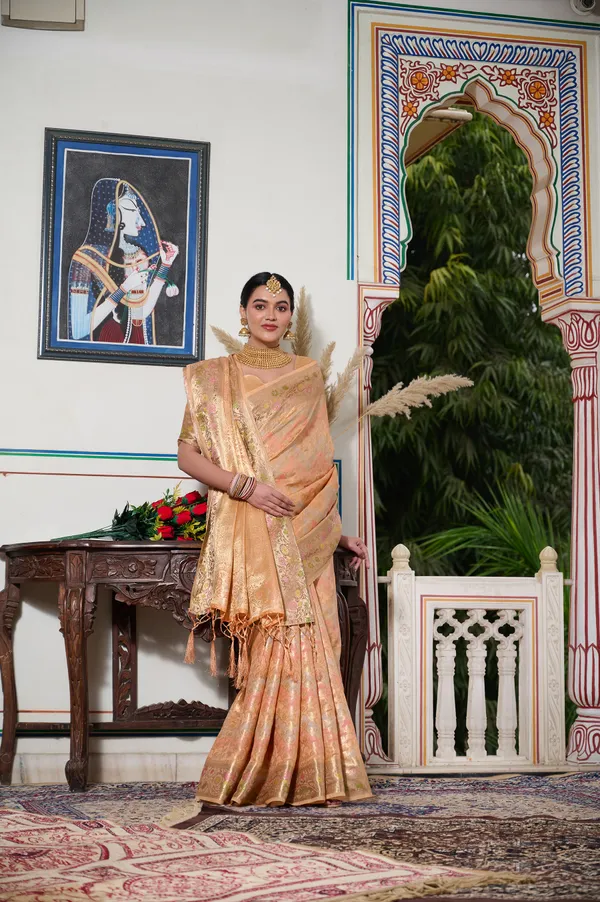 Orange_Banarasi_Organza_Saree_With_Tassels_Blouse_For_Women