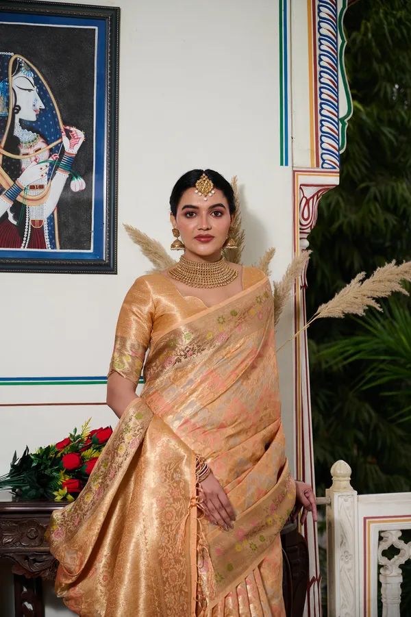 Orange_Banarasi_Organza_Saree_With_Tassels_Blouse_For_Women