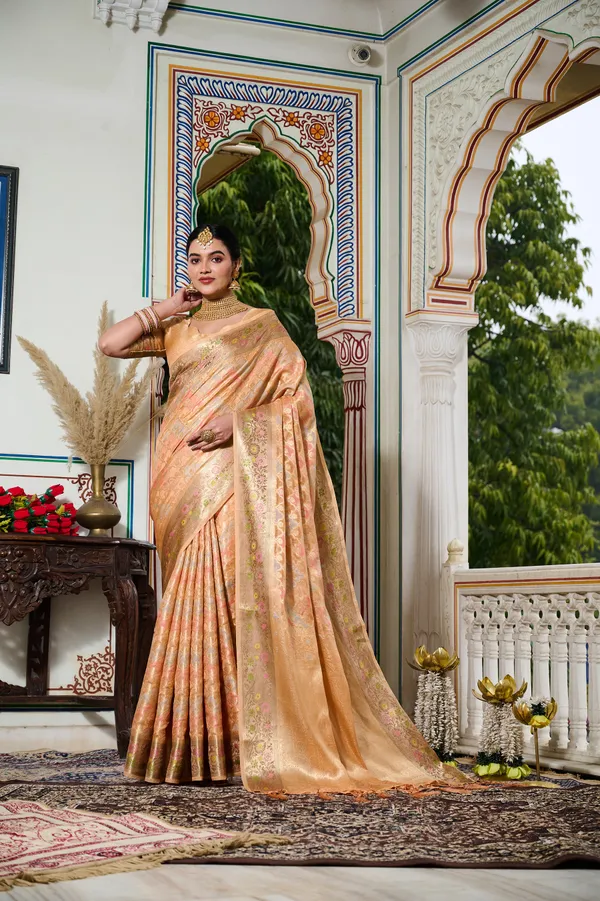 Orange_Banarasi_Organza_Saree_With_Tassels_Blouse_For_Women