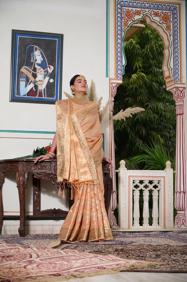 Orange_Banarasi_Organza_Saree_With_Tassels_Blouse_For_Women