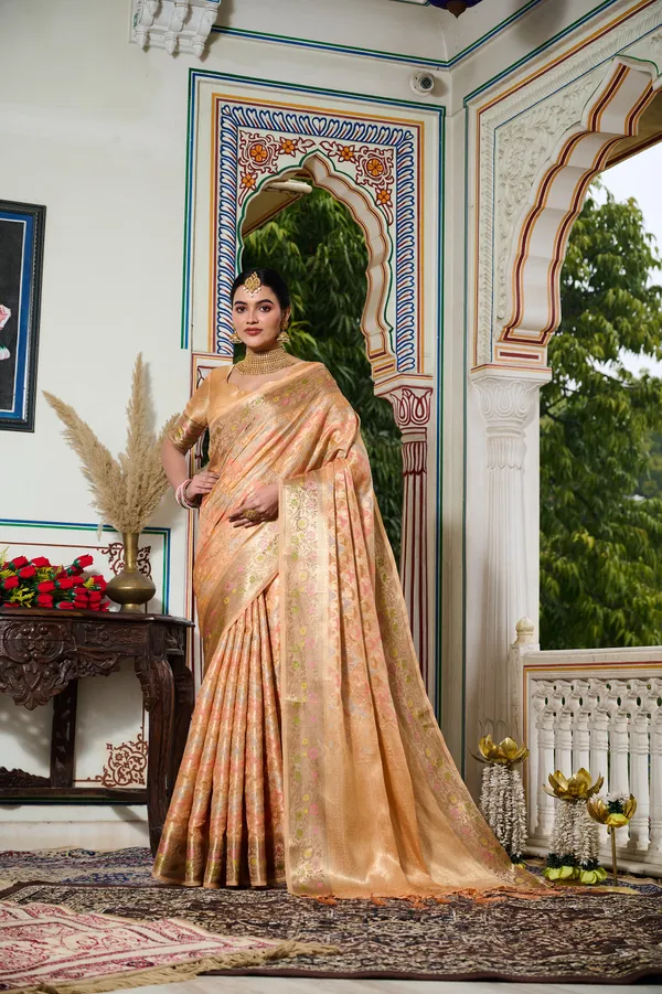 Orange_Banarasi_Organza_Saree_With_Tassels_Blouse_For_Women