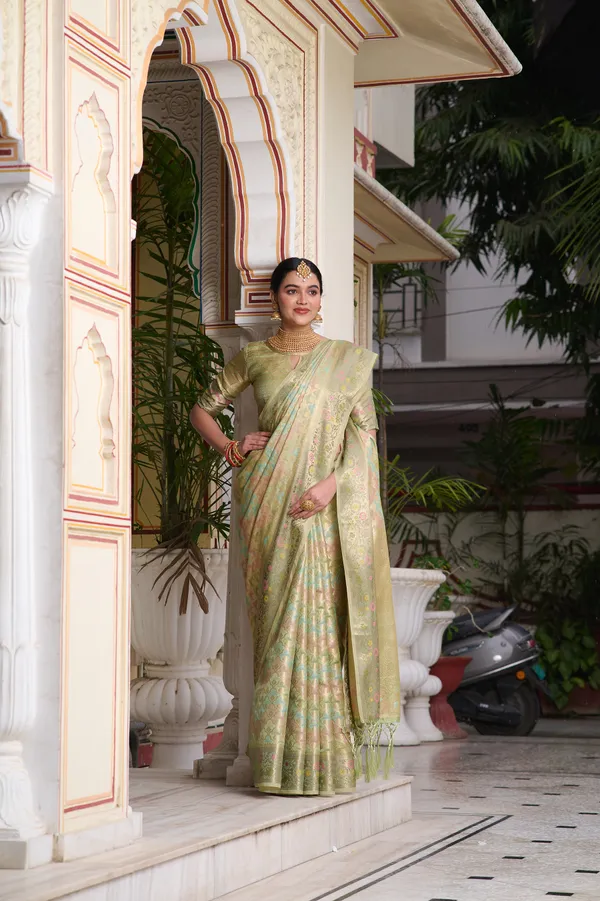 Mint_Green_Banarasi_Organza_Saree_With_Tassels_Blouse_For_Women