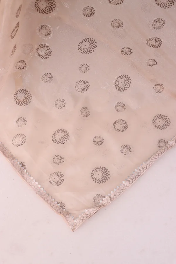 Cream_Organza_Dyed_Bollywood_Saree_For_Women