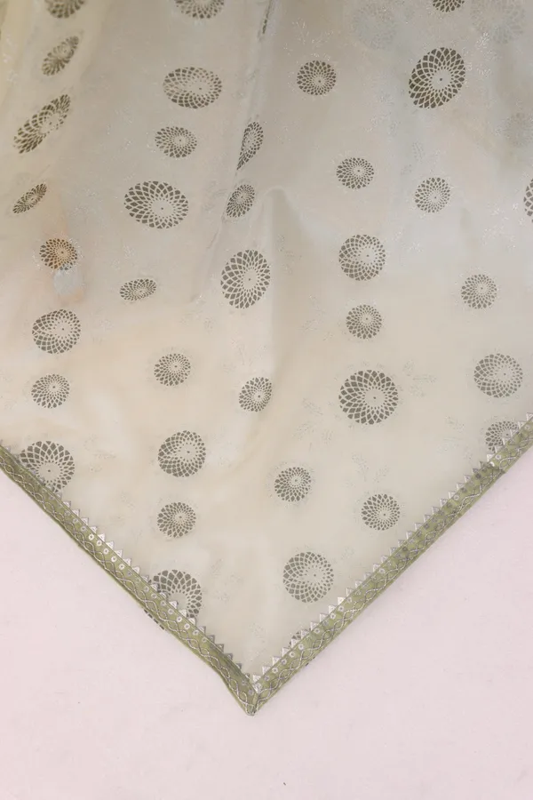 Light_Green_Organza_Dyed_Bollywood_Saree_For_Women