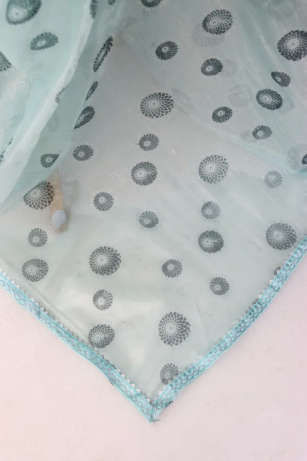 Light_Blue_Organza_Dyed_Bollywood_Saree_For_Women