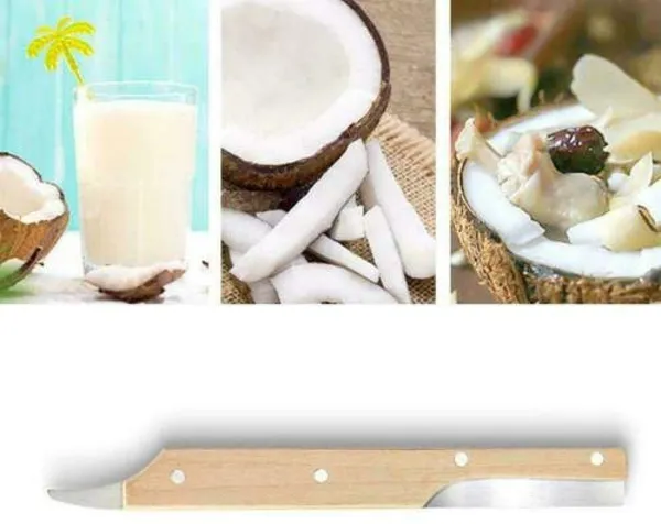 Stainless_Steel_Coconut_Shell_Opener_Tool