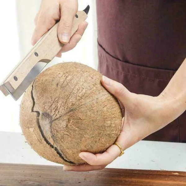 Stainless_Steel_Coconut_Shell_Opener_Tool