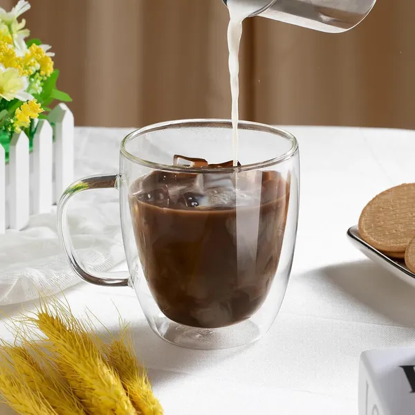 Double_Wall_Insulated_Glass_Coffee_&_Tea_Cup_with_Handle