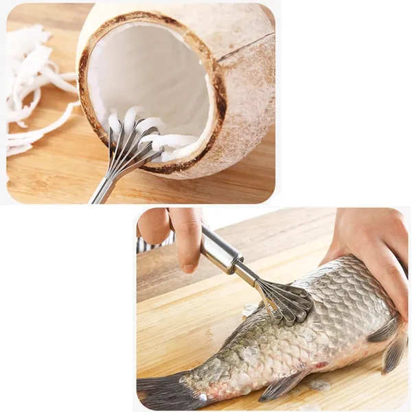 Coconut_Scraper_Meat_Removal_Peeler_Tool_(Pack_Of_3)