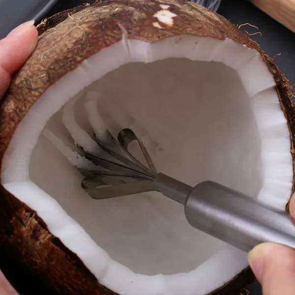 Coconut_Scraper_Meat_Removal_Peeler_Tool_(Pack_Of_3)