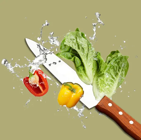 Professional_Kitchen_Chef_Knife__Tool