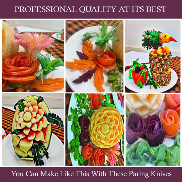 3_pieces_Vegetable_Fruit_Carving_Knife_Kitchen_Tool