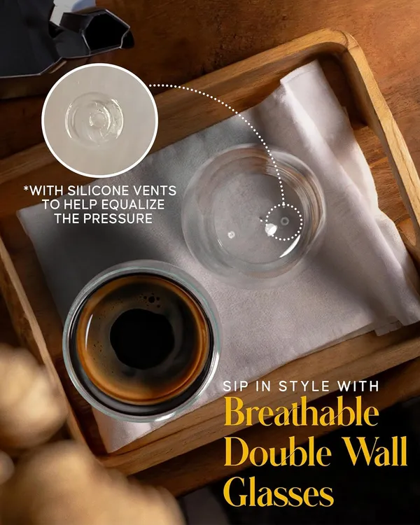 Heat_Resistant_Borosilicate_Double_Walled_Glasses_Mug