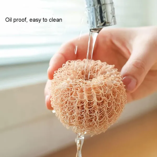 Chick_Pot_Cleaning_Brush_with_Handle_(Pink)