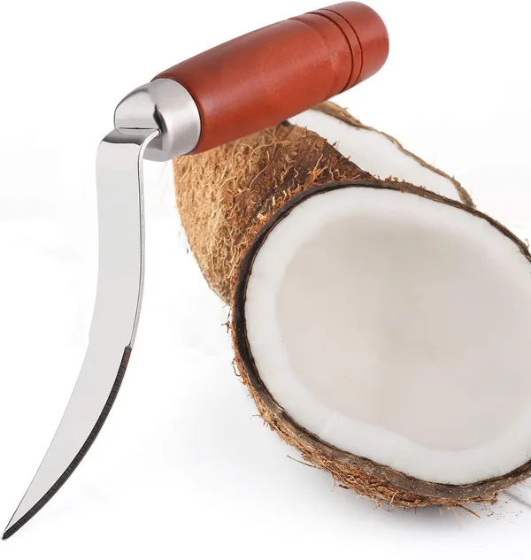Stainless_Steel_Coconut_Meat_Remover_Tool