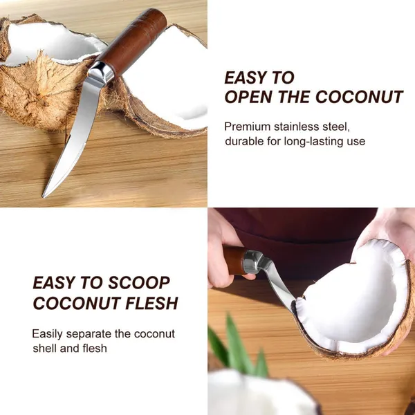 Stainless_Steel_Coconut_Meat_Remover_Tool