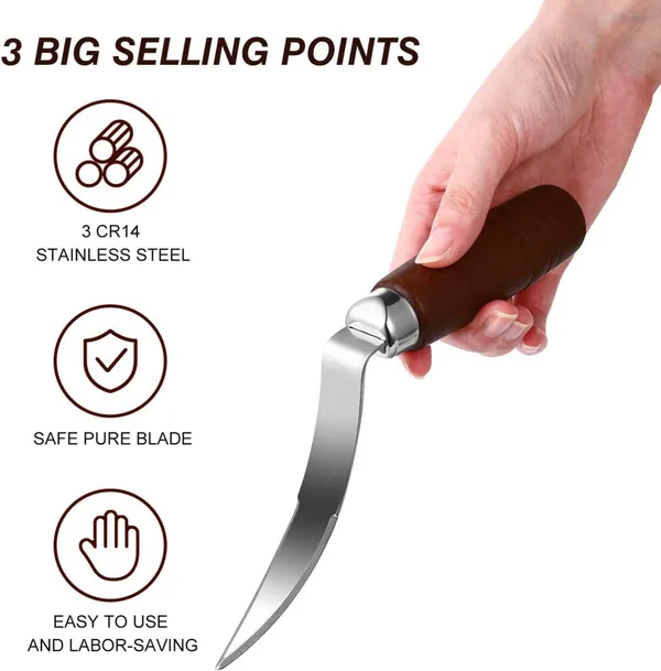 Stainless_Steel_Coconut_Meat_Remover_Tool