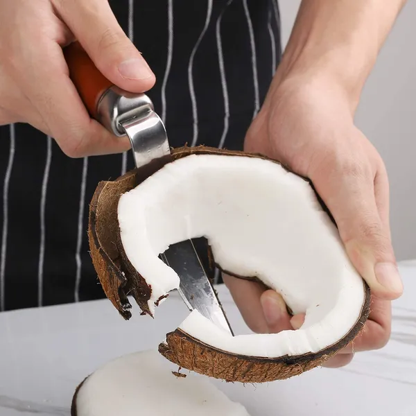 Stainless_Steel_Coconut_Meat_Remover_Tool
