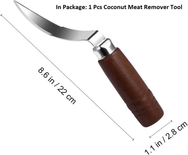 Stainless_Steel_Coconut_Meat_Remover_Tool
