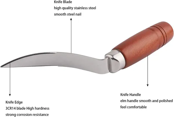 Stainless_Steel_Coconut_Meat_Remover_Tool